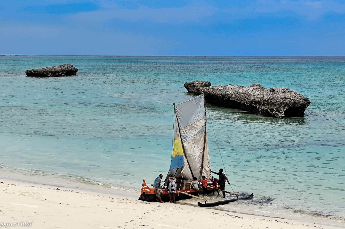RECOLLINT LAS PESCA