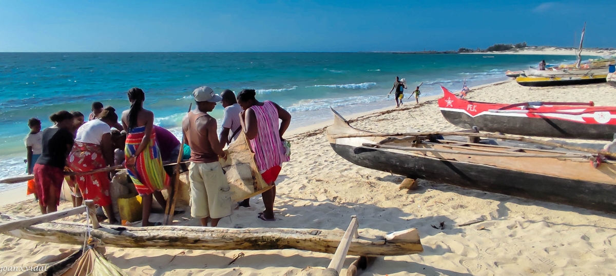 ARRIBADA DE LA PESCA A COCO BEACH