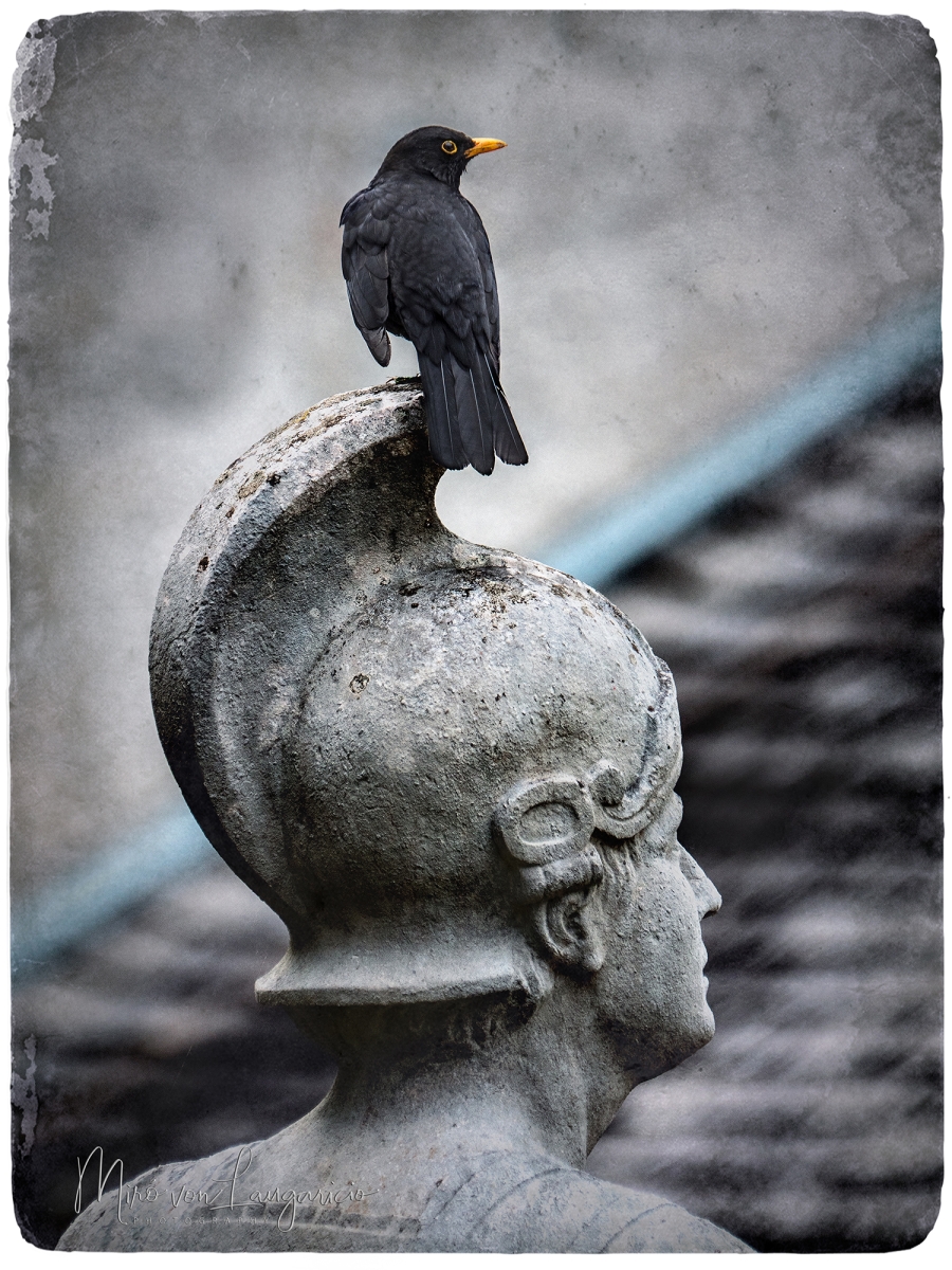  El guardin del guardin 