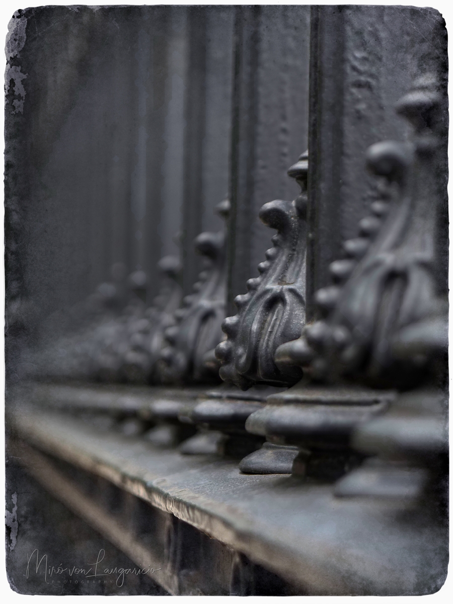  Guardianes del silencio 