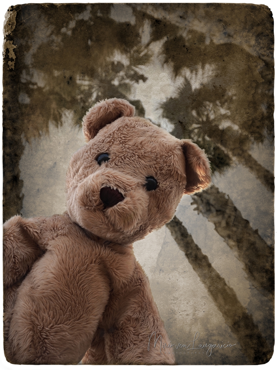  El regreso del peregrino de peluche 