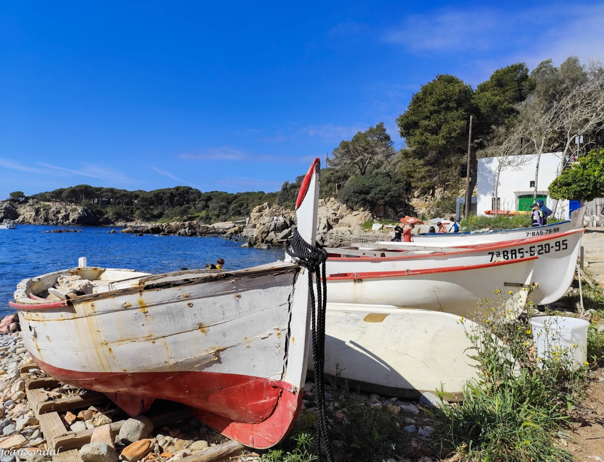 CALA S\'ALGUER