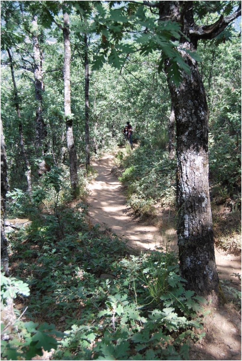 Garganta de los infiernos, valle del Jerte, Cceres (Extremadura)