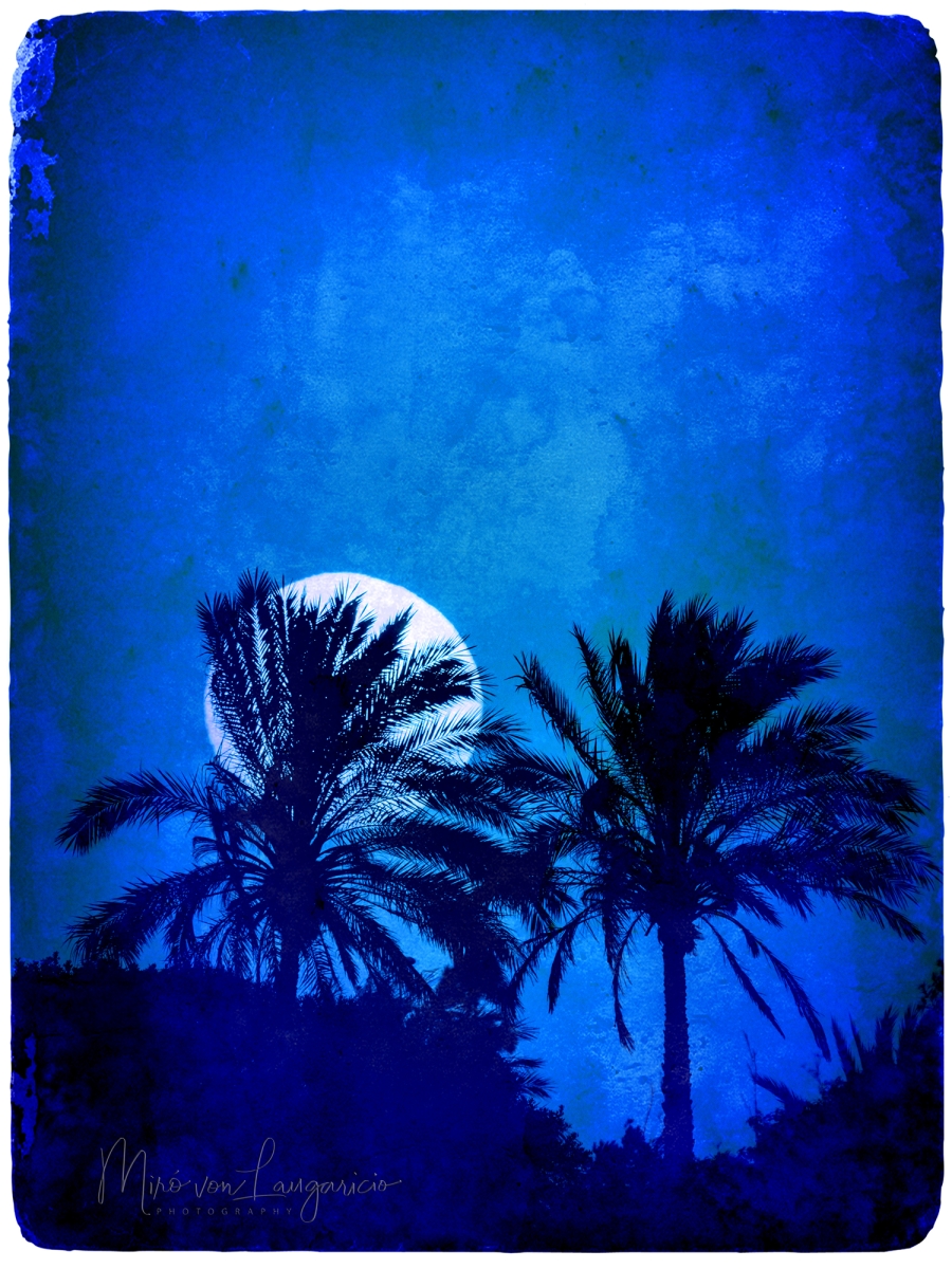  En el abrazo de la luz lunar 