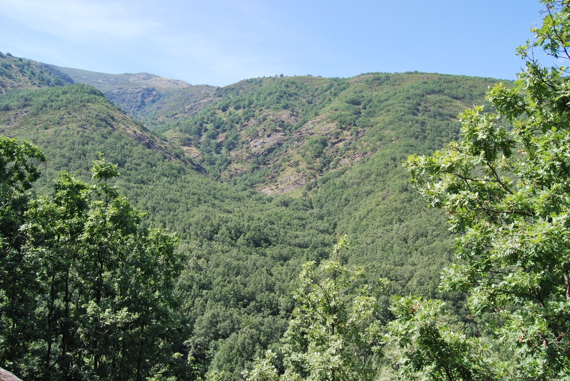 Garganta de los infiernos, valle del Jerte, Cceres. Extremadura