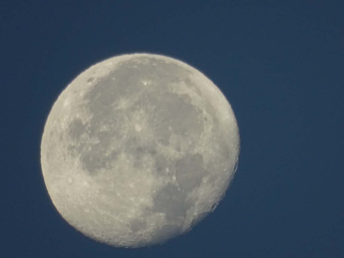 La LUNA