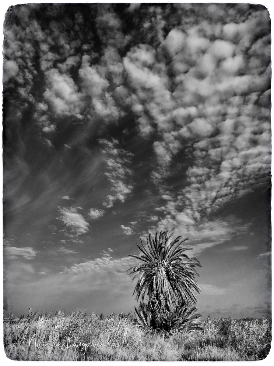  Bajo las nubes del tiempo 