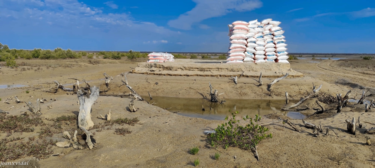 APILAMENT DE  SACS DE SALT
