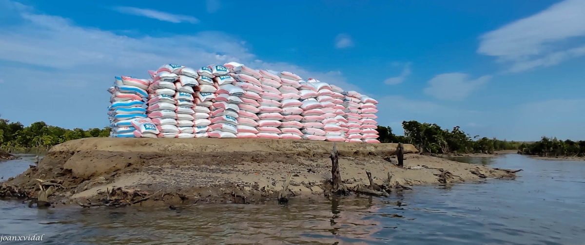 APILAMENT DELS SACS DE SALT