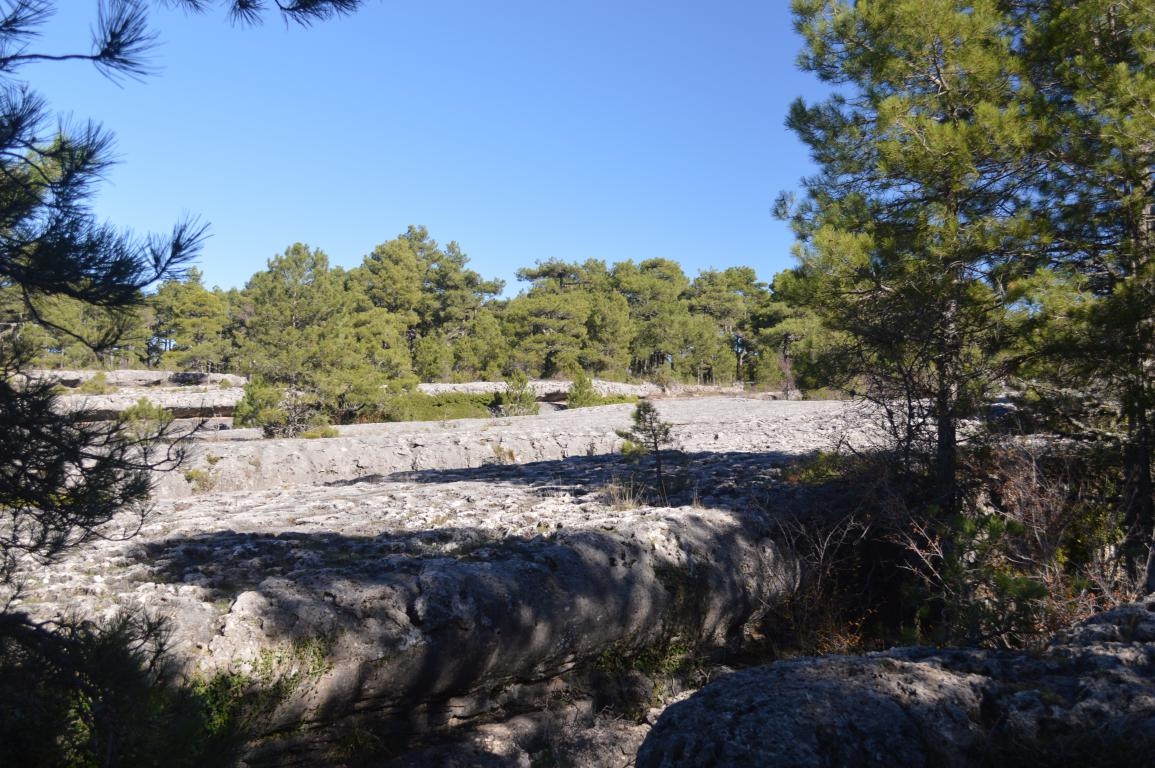 Ciudad encantada. Parque Natural Serrana de Cuenca