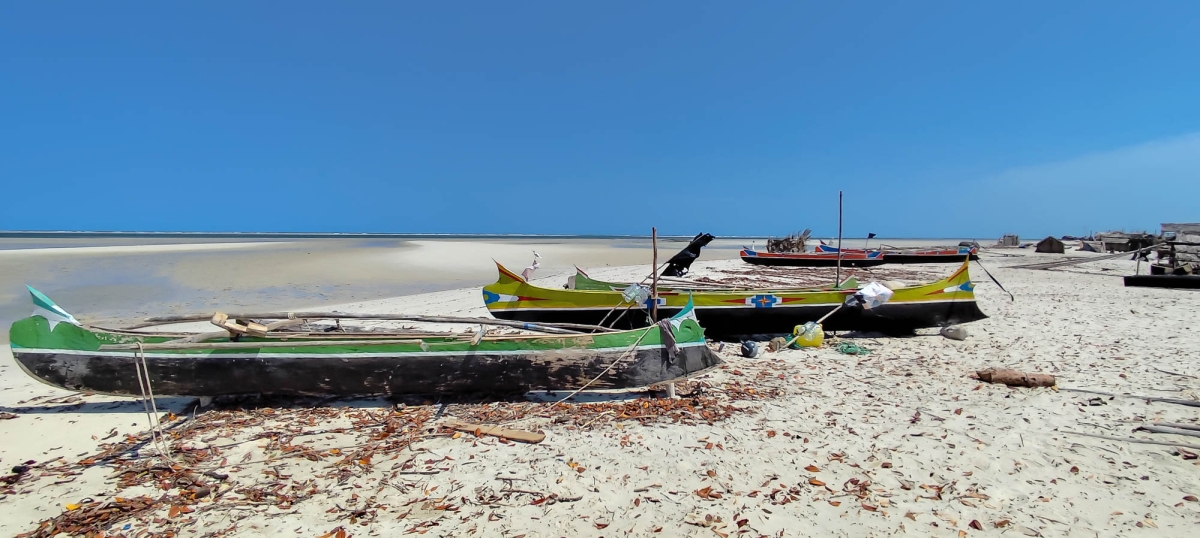 PIROGUES EN BAIXA MAR