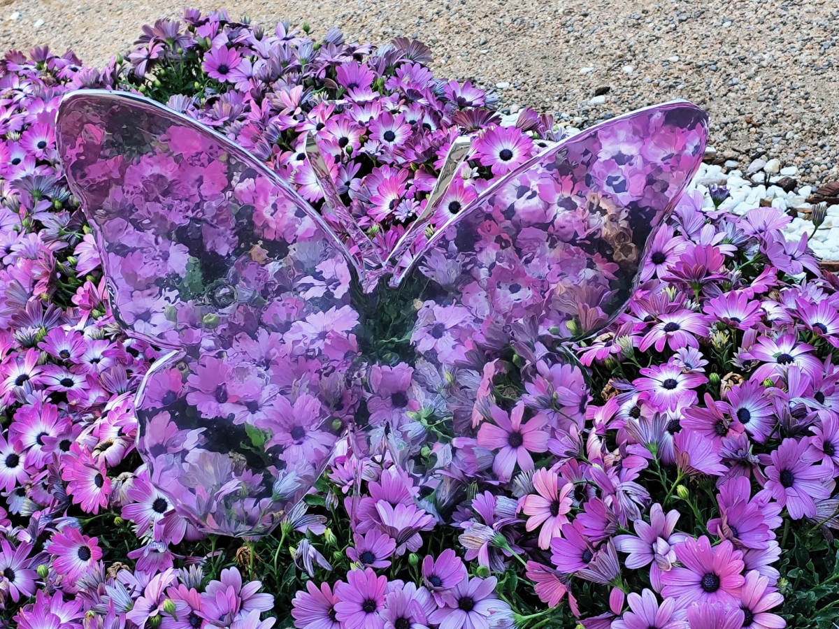 PAPALLONA FLORAL