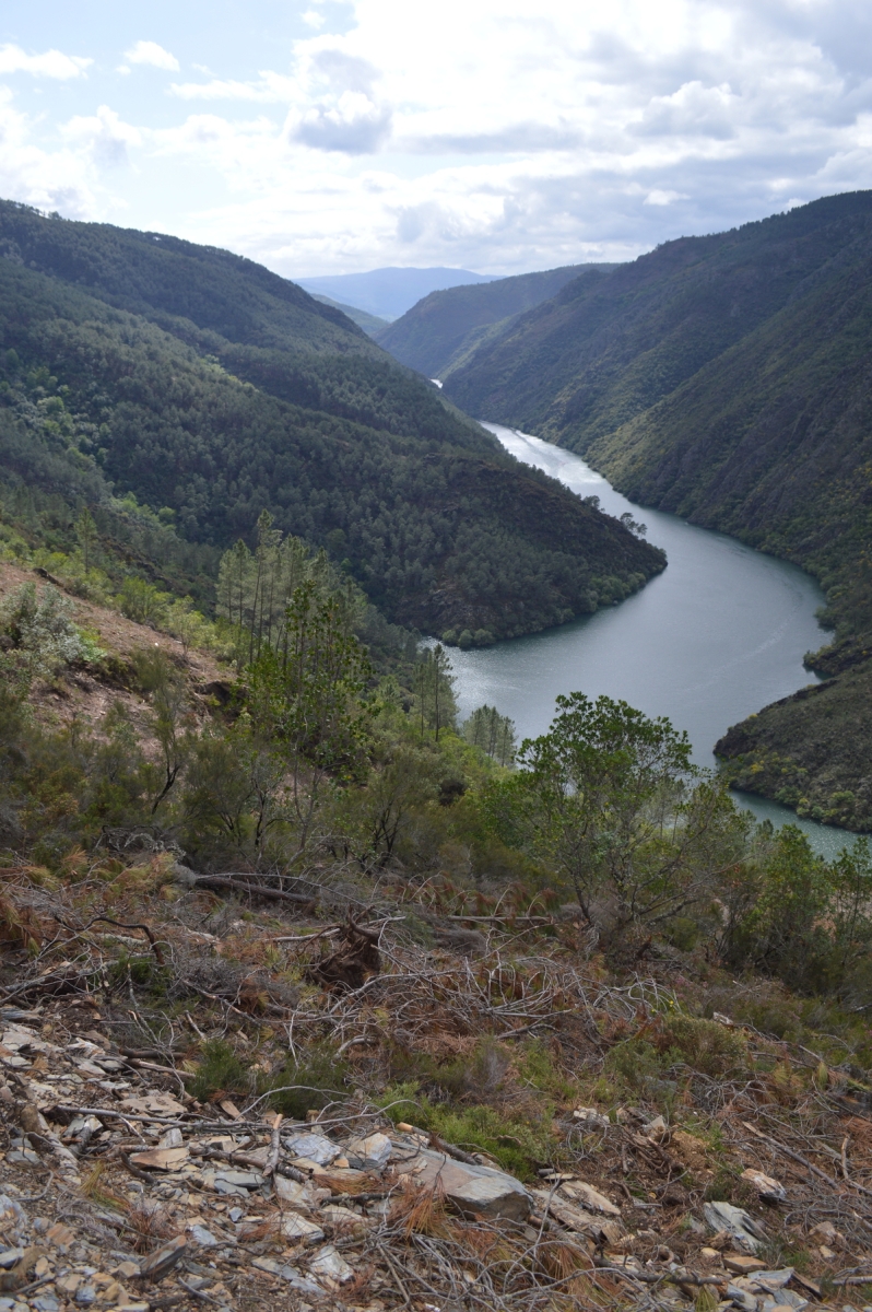 Ro Sil. Castro Caldelas (Ourense)/Sober (Lugo). Ribeira Sacra. Galicia