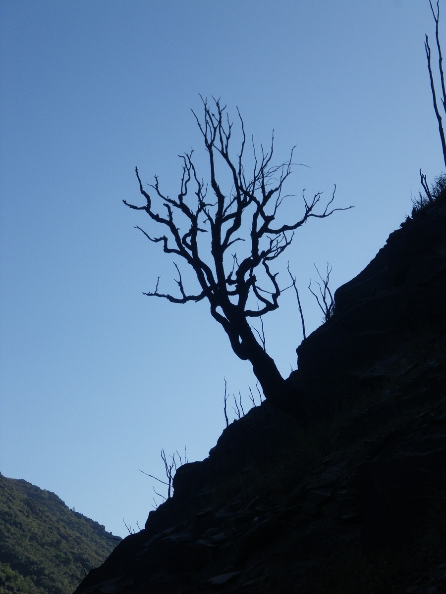 Vaciado do Sil 2009. Castro Caldelas (Ourense)/Sober (Lugo). Ribeira Sacra. Galicia byJOM