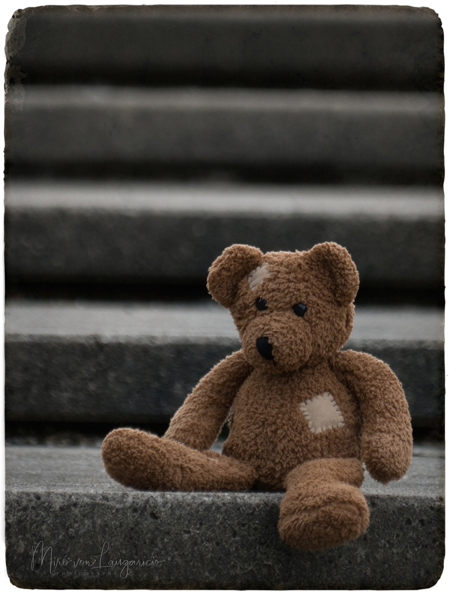  Corazn de peluche solitario 