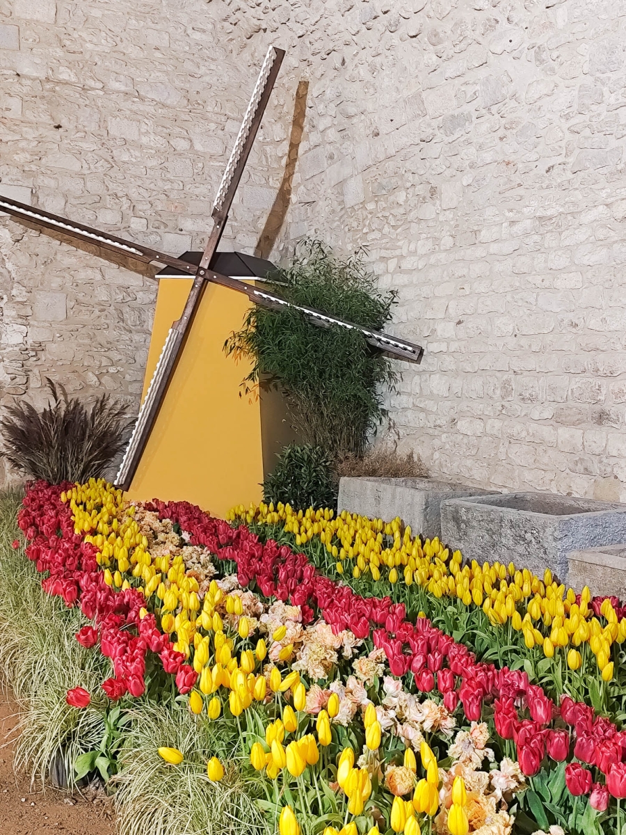 GIRONA TEMPS DE FLORS