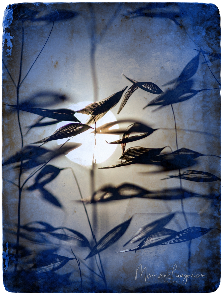  Entre sombras y luz 