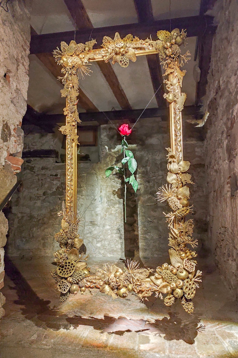 ROSA ENMARCADA