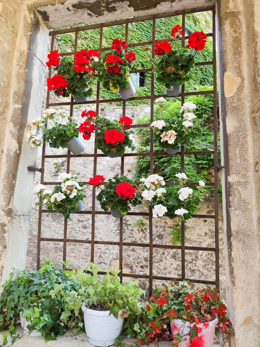 GIRONA TEMPS DE FLORS