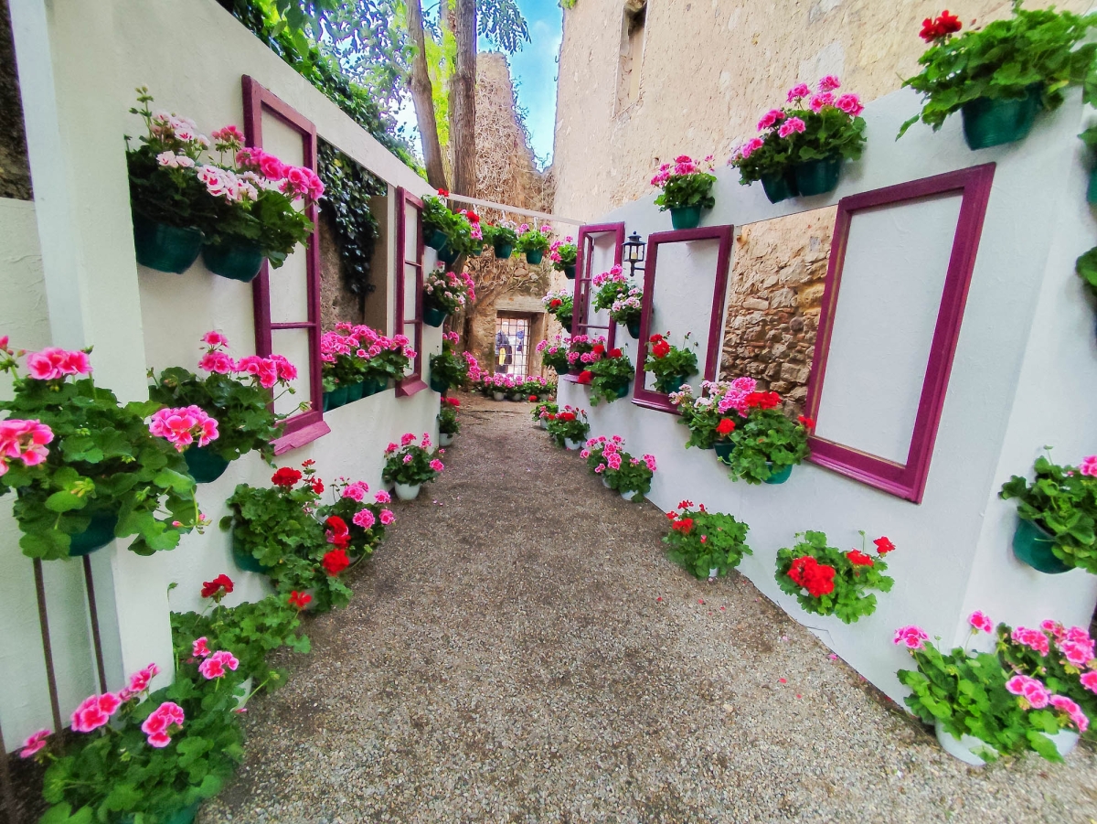 GIRONA TEMPS DE FLORS