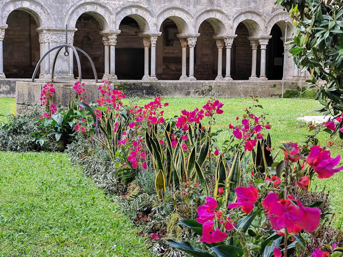 CLAUSTRE DE LA CATEDRAL