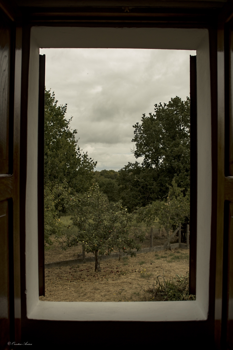 Vistas
