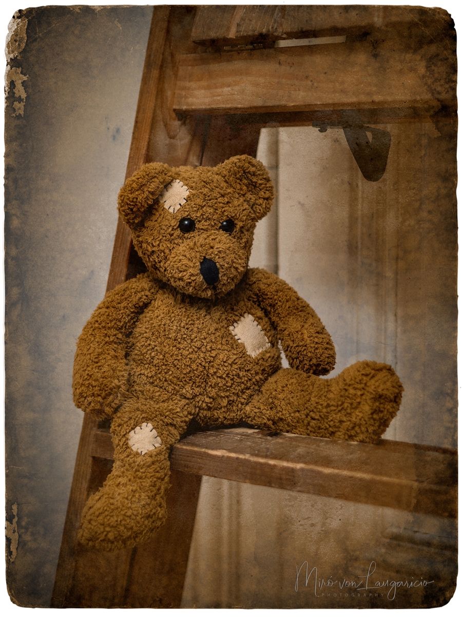  Tiempo de peluche 