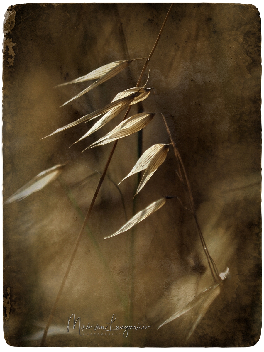  Silencio en movimiento 