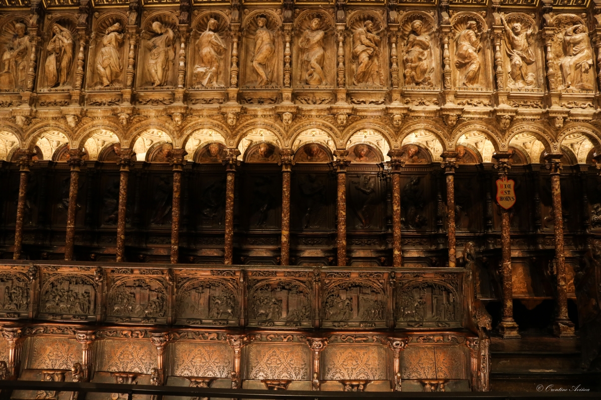 Sala Capitular Toledo