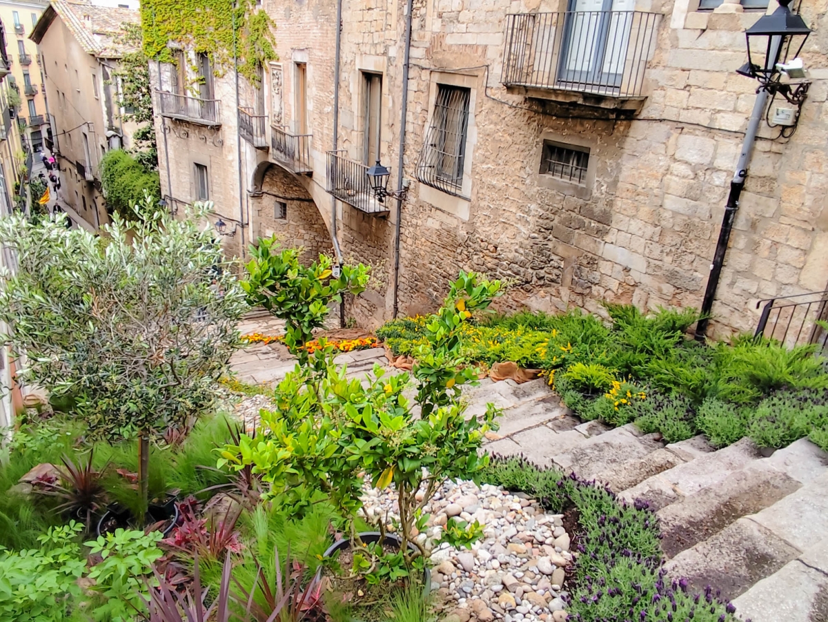 ESCALA DE SANT MART