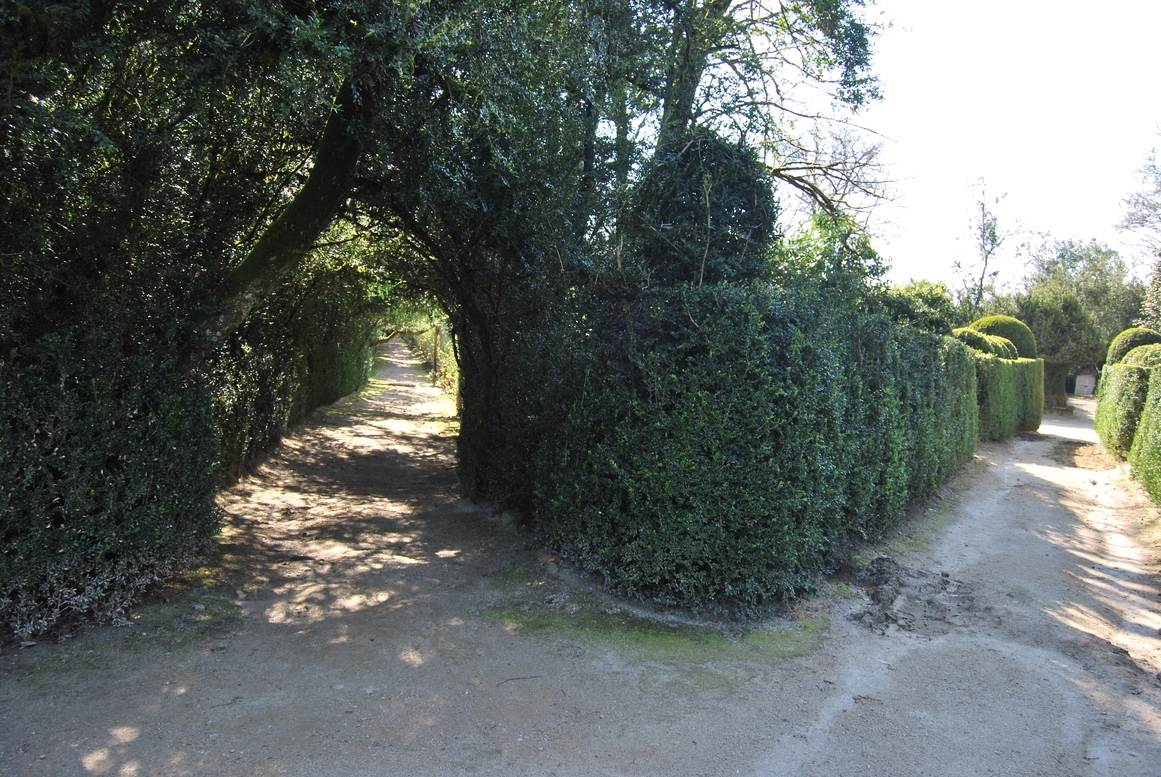 Pazo de Oca. A Estrada (Pontevedra). Rota da camelia