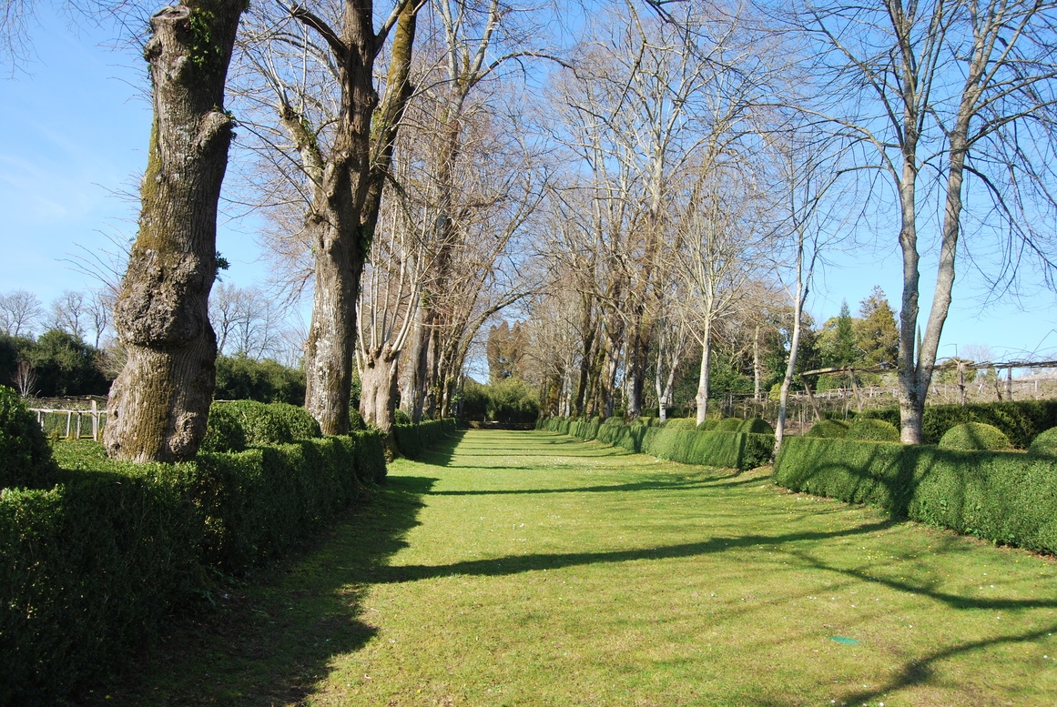 Pazo de Oca. A Estrada (Pontevedra). Rota da camelia