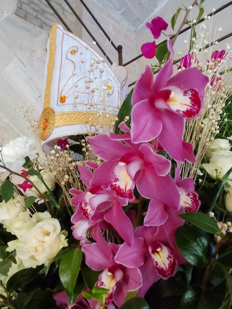 ORQUDIES