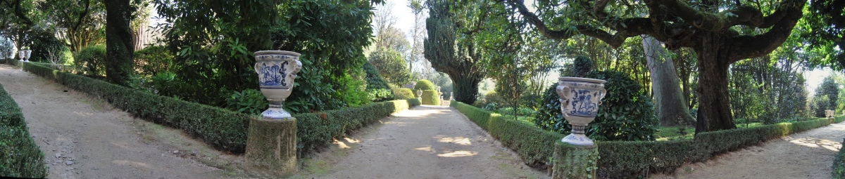 Pazo de Oca. A Estrada (Pontevedra). Rota da camelia