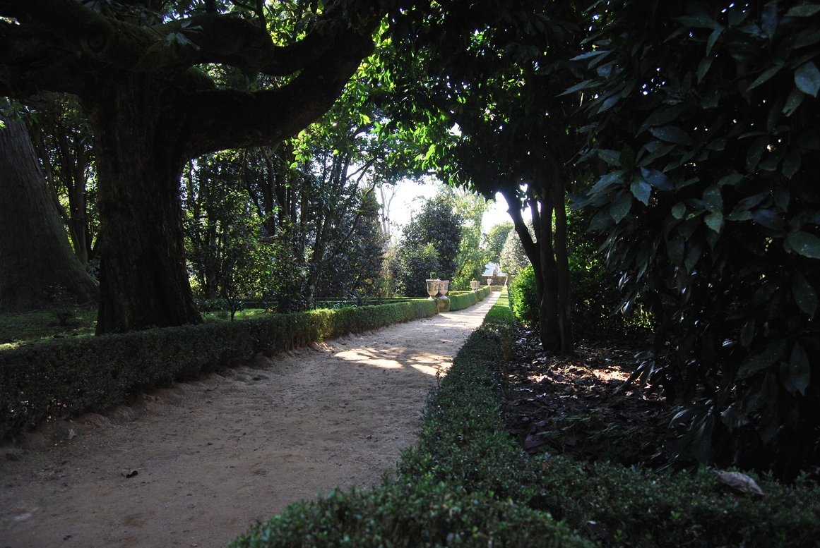 Pazo de Oca. A Estrada (Pontevedra). Rota da camelia