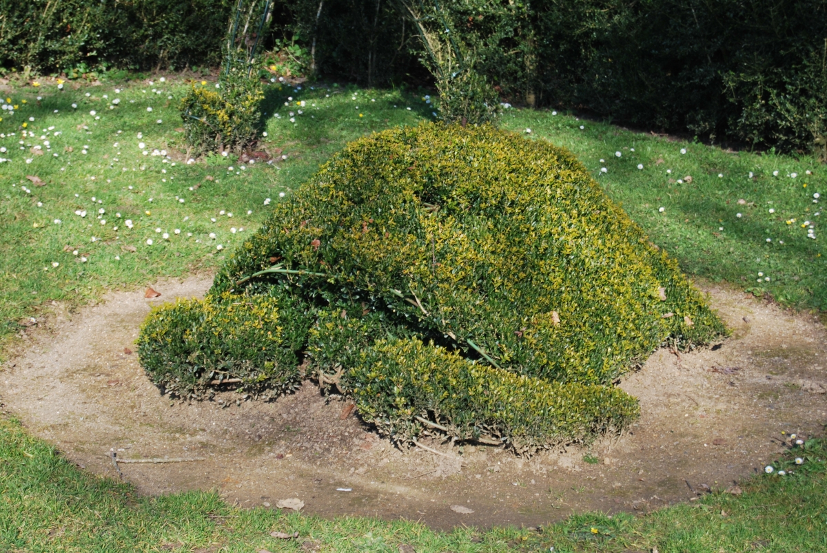 Pazo de Oca. A Estrada (Pontevedra). Rota da Camelia