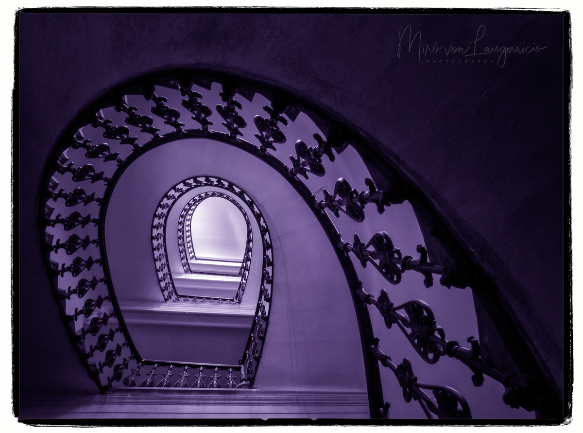  La espiral violeta del silencio 