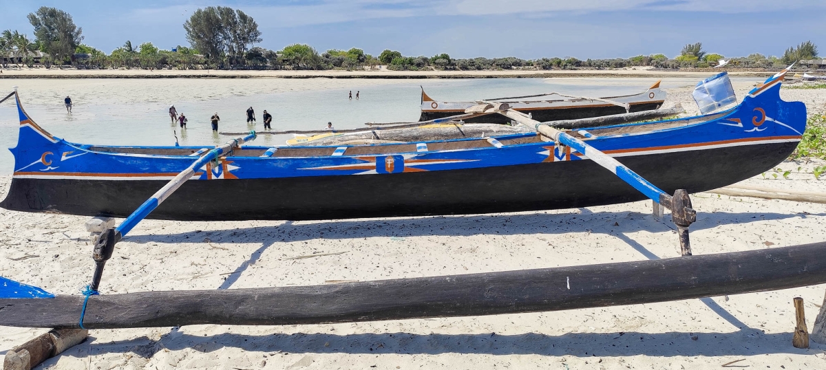 APROFITANT LA MAREA BAIXA