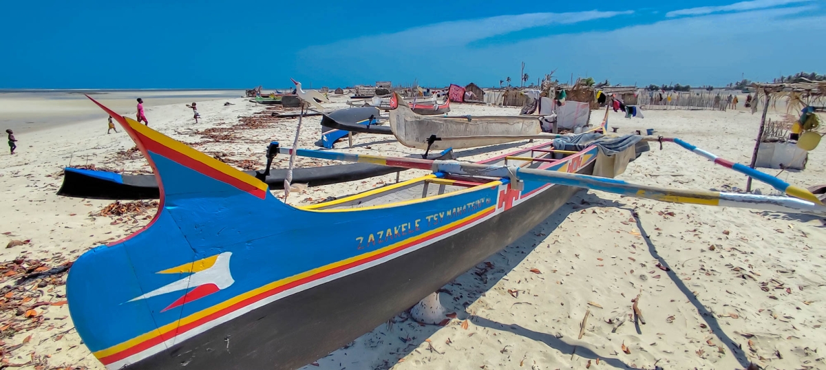 PIROGUES DE PESCA