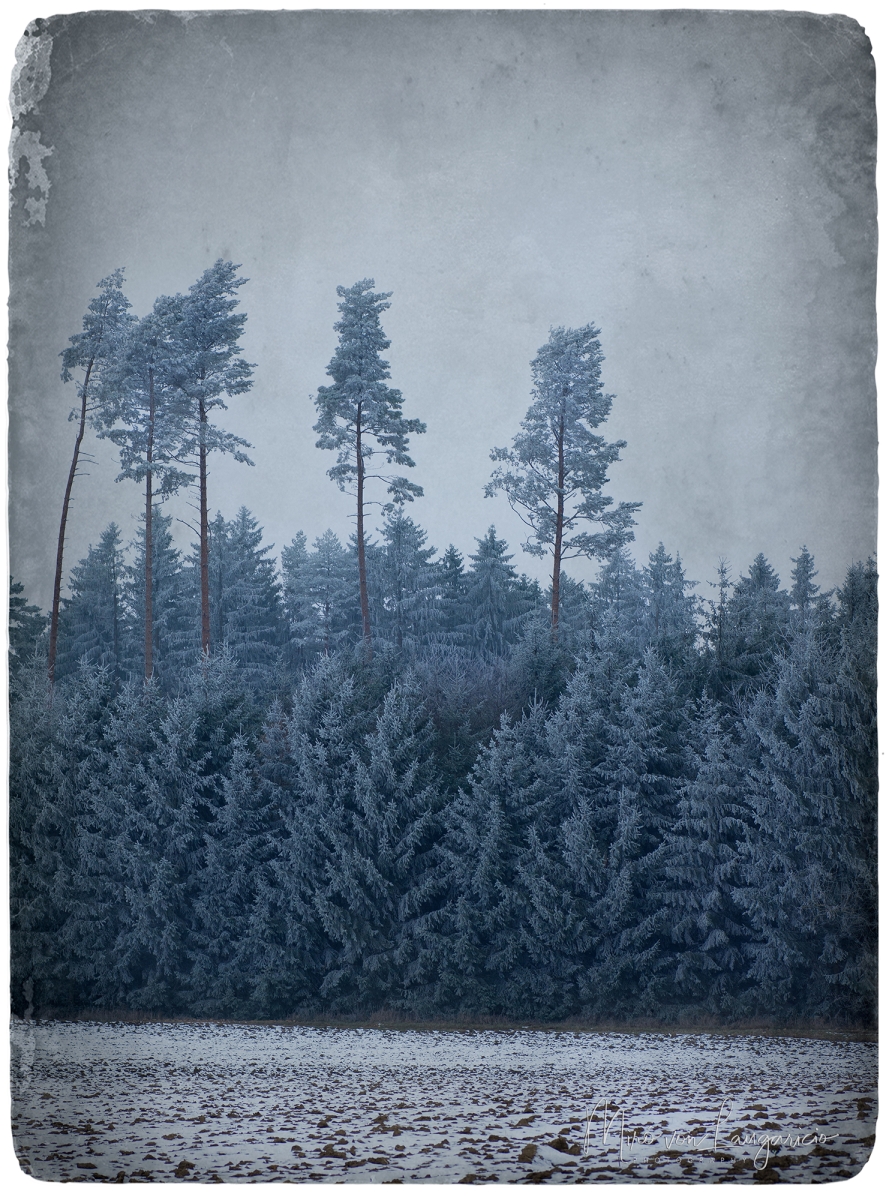  Guardianes del invierno 