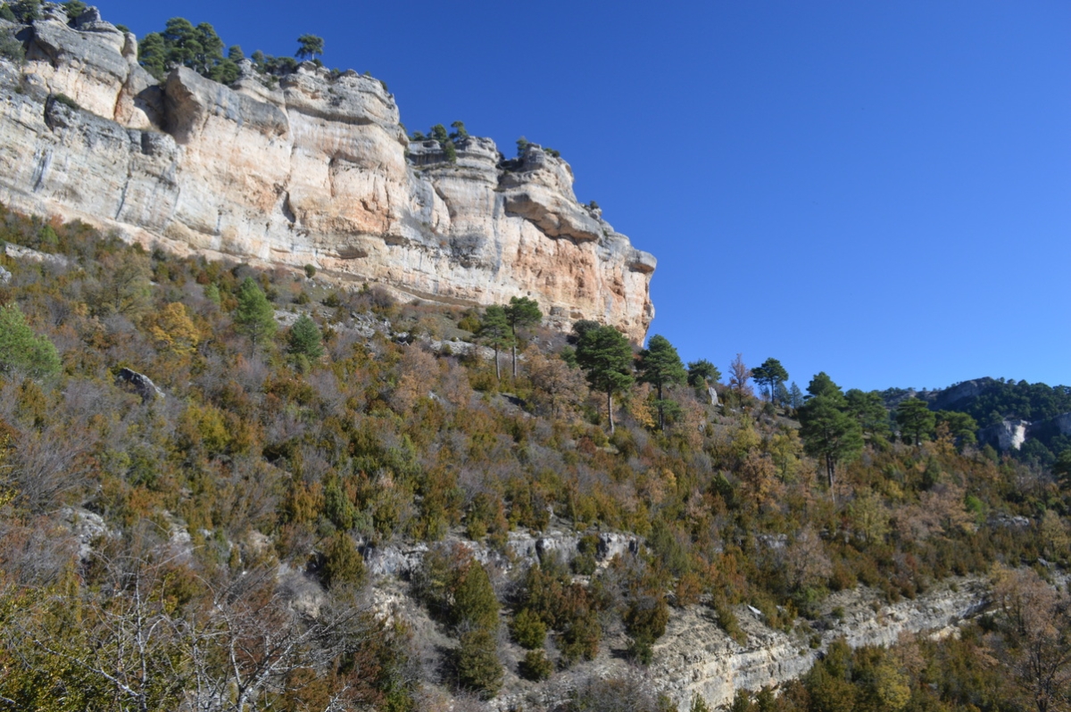 Ua. Serrana de Cuenca