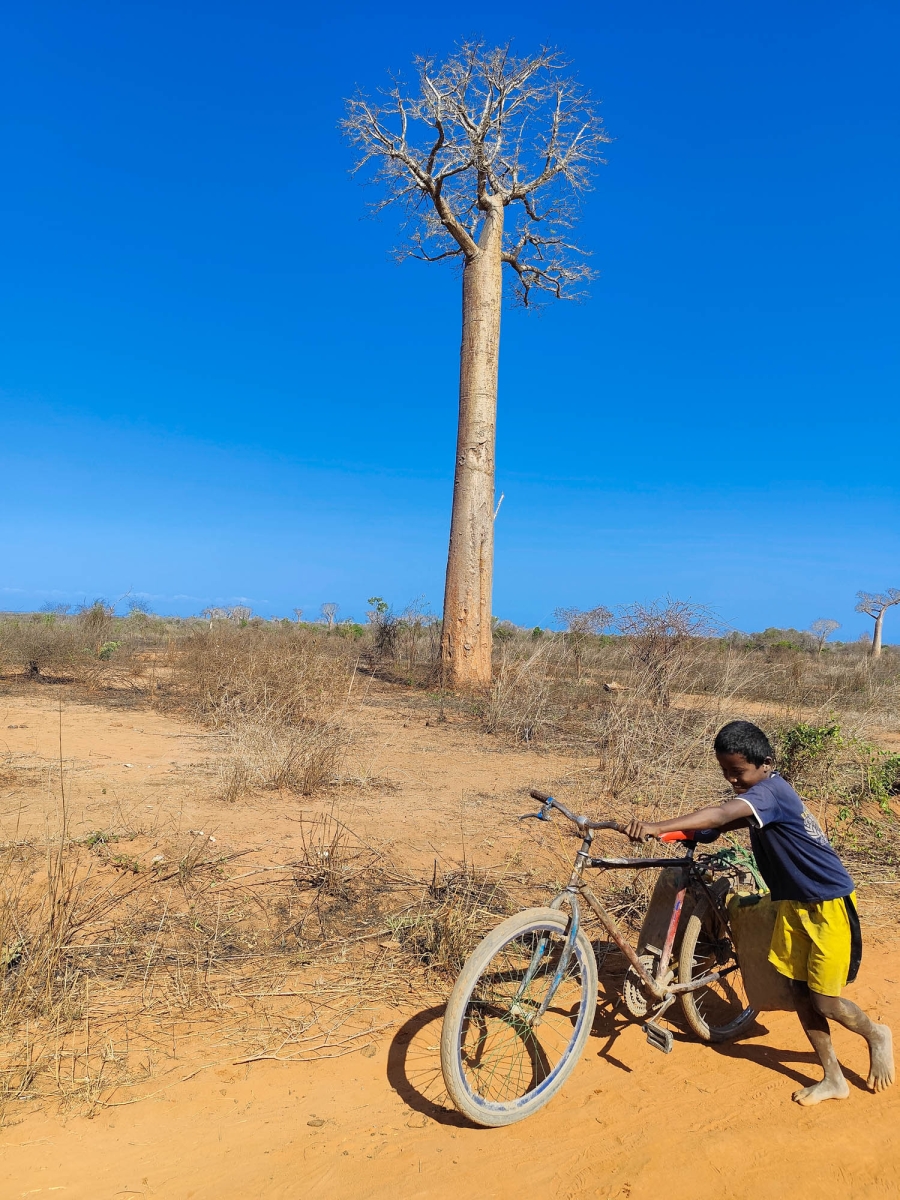 CAM DE MORONDAVA