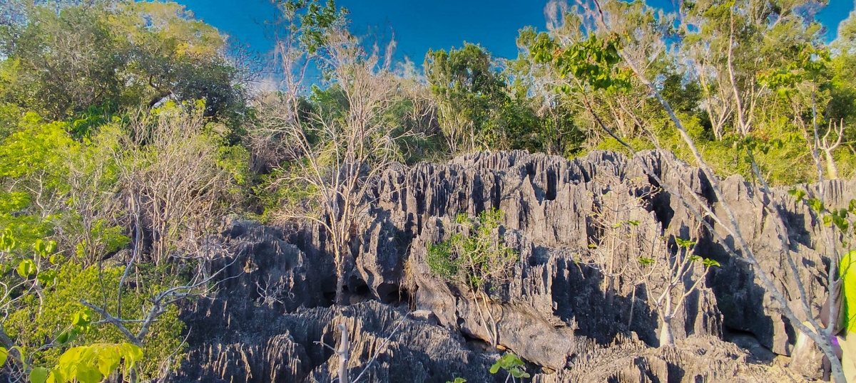 PN TSINGY DE BEMARAHA