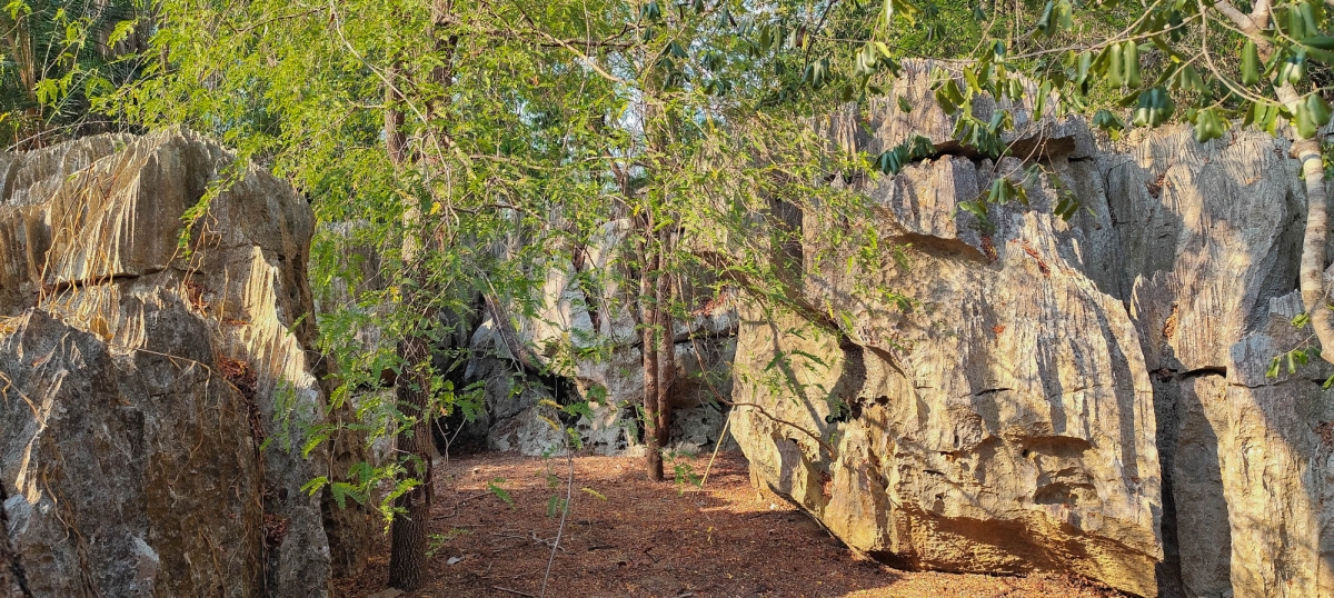 PN TSINGY DE BEMARAHA