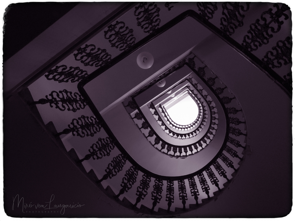  La sinfona violeta del silencio 