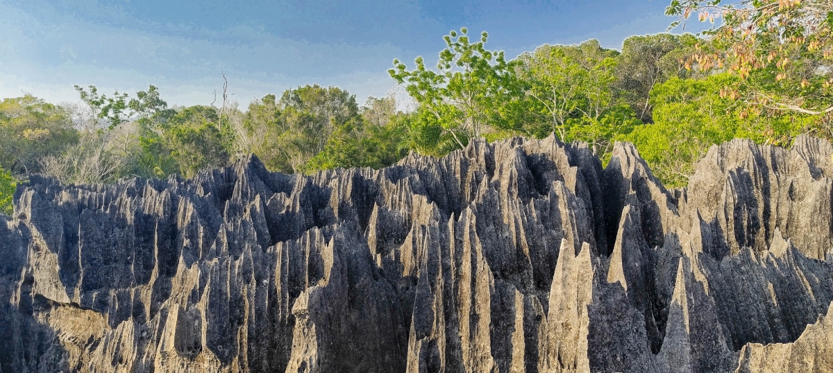 PN TSINGY DE BEMARAHA