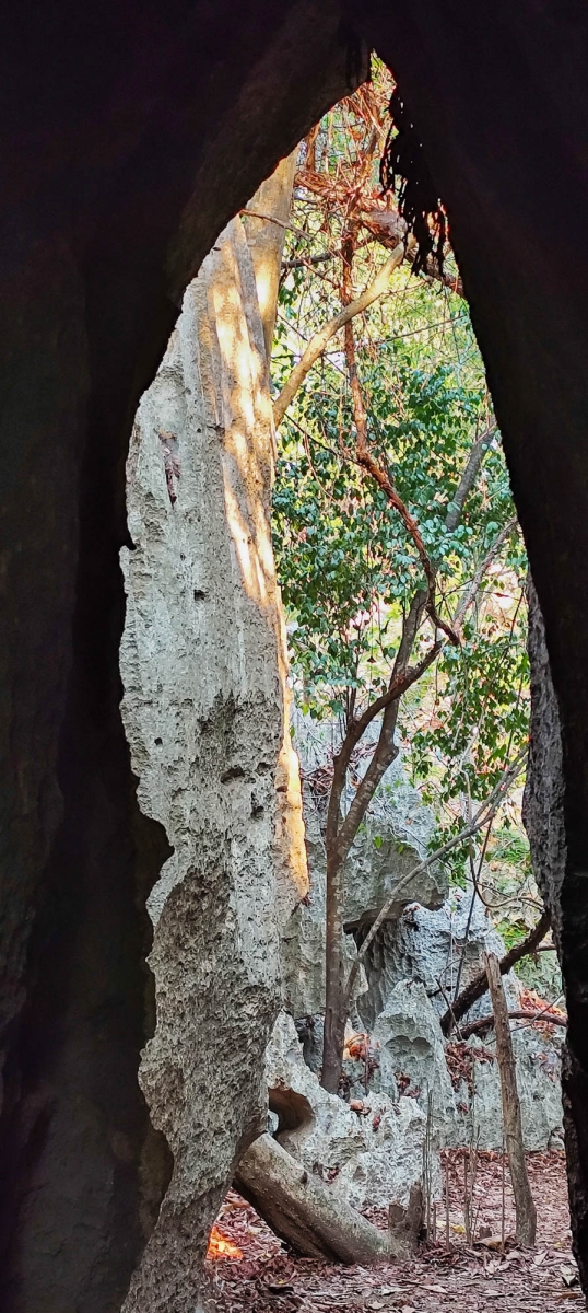 PN TSINGY DE BEMARAHA