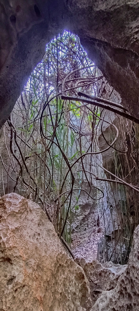 PN TSINGY DE BEMARAHA