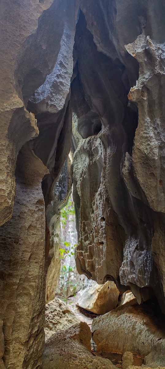 PN TSINGY DE BEMARAHA