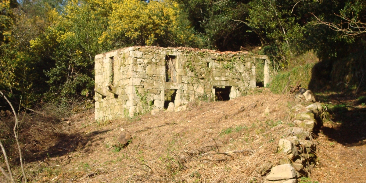 A Barca. Aldea despoboada. Cortegada. Ribeiro. Ourense. Galicia 